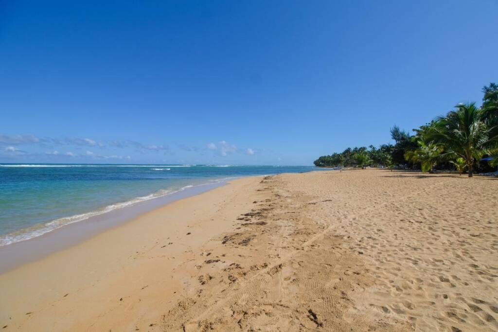 Palmeraie Terrenas Beach Apartamento Лас Терренас Экстерьер фото